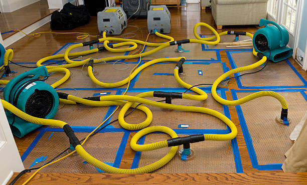 Professional Crawl Space Water Removal technician working in Fountain, NC